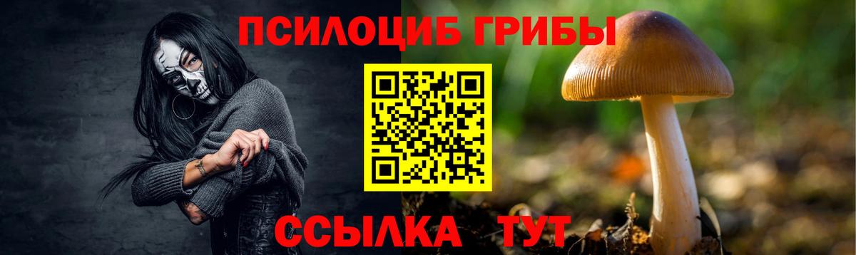 Псилоцибиновые грибы мицелий  Галлюциногенные грибы мухоморы  Сызрань  Вход с VPN 